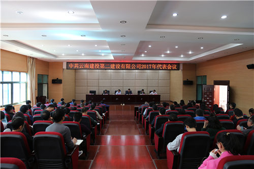 公司召開2017年黨代表會議選舉集團第一次代表大會代表