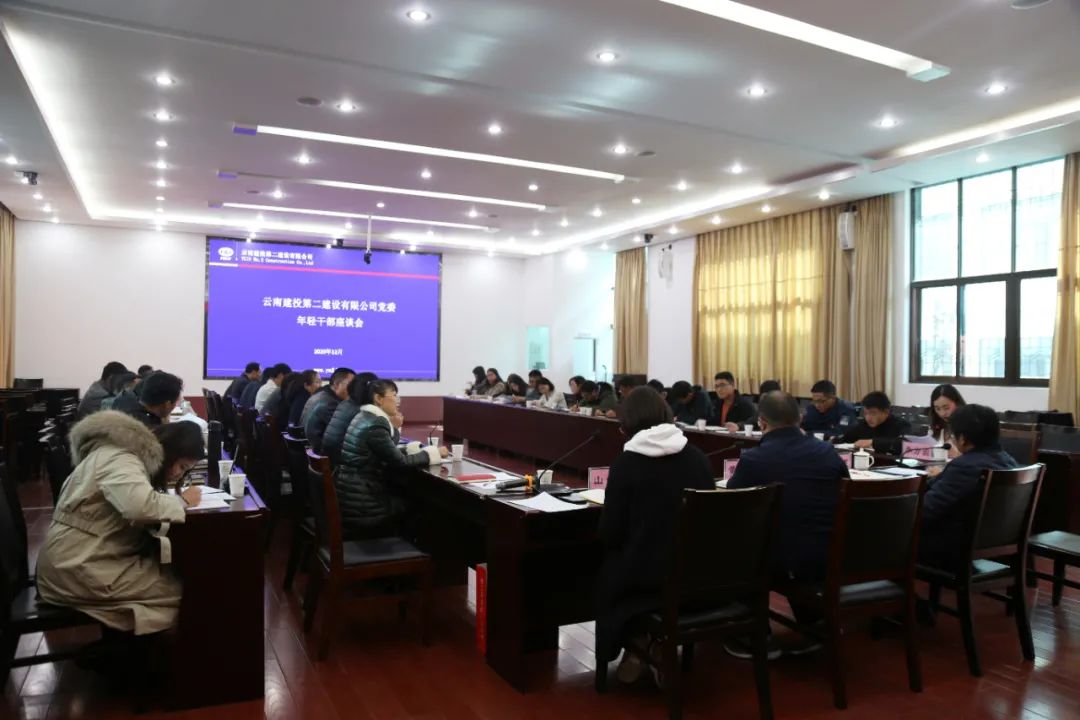 【公司要聞】只有創(chuàng)造價值，青春才是資本——公司黨委召開年輕干部座談會